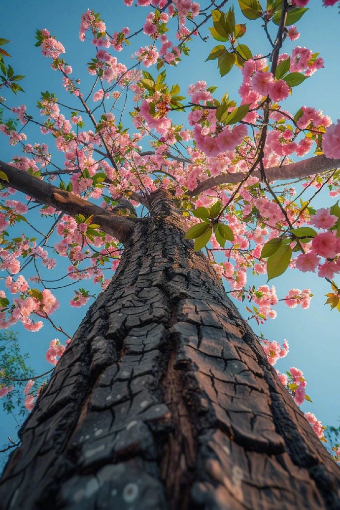 我微博下面就几千个人，自己人不多。耐不住卧底的多啊，你们很多人在外面都有群，都有