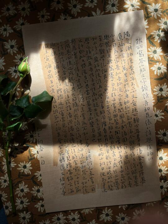 那天阳光很好，有风有书～