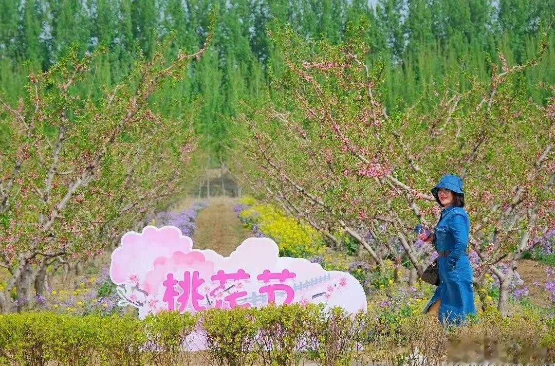 春风送暖，万物复苏，花团锦簇。4月15日，“桃花朵朵开 韩村等您来——第二届凤河