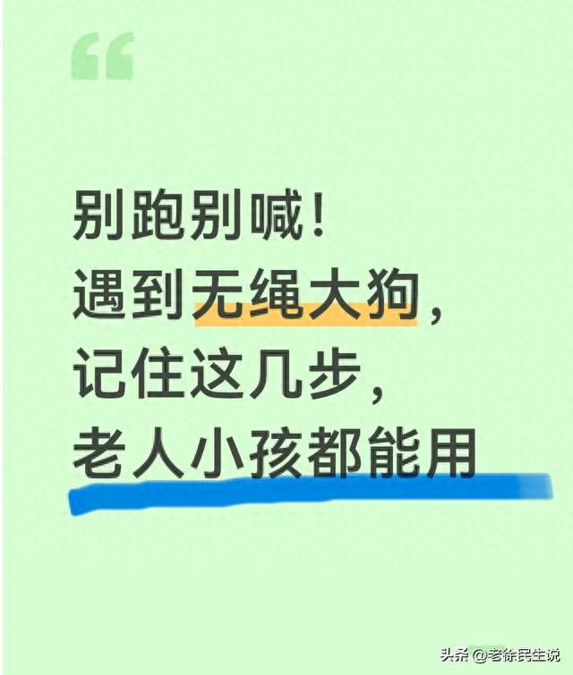 晨跑遇无绳大狗怎么办？郑州阿姨的一个动作，比跑和喊都管用