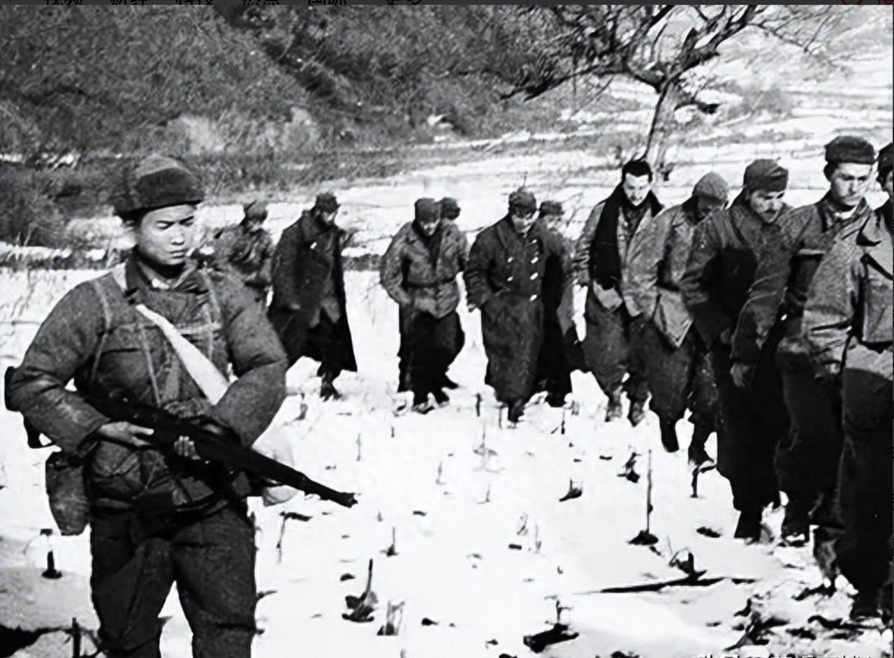 1953年，志愿军小分队，潜入敌军阵地抓美军俘虏，结果抓回11个外籍女兵，谁知，