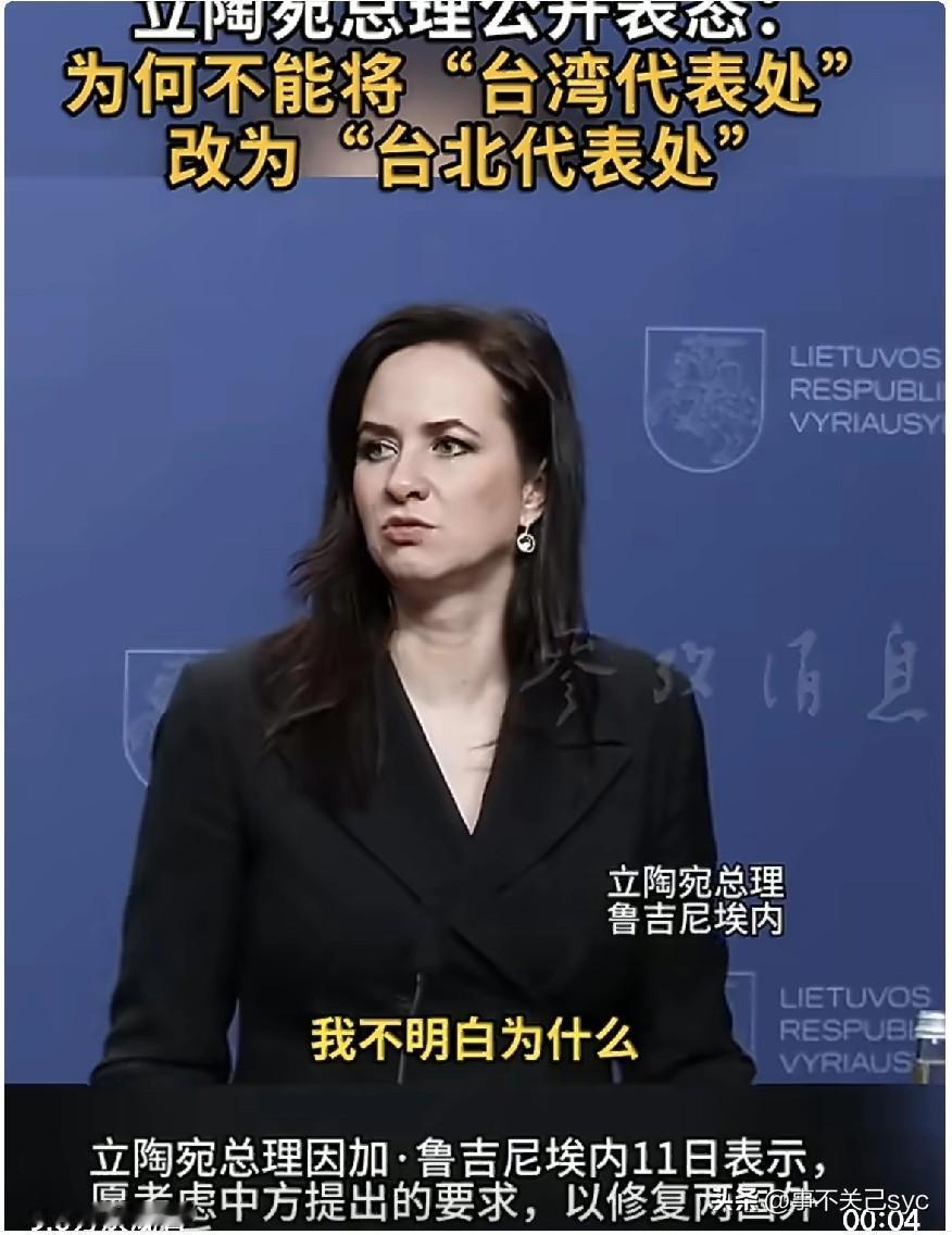 立陶宛总理鲁吉尼埃内11日对记者表示：“我看不出为何不能将其改为‘台北代表处’。