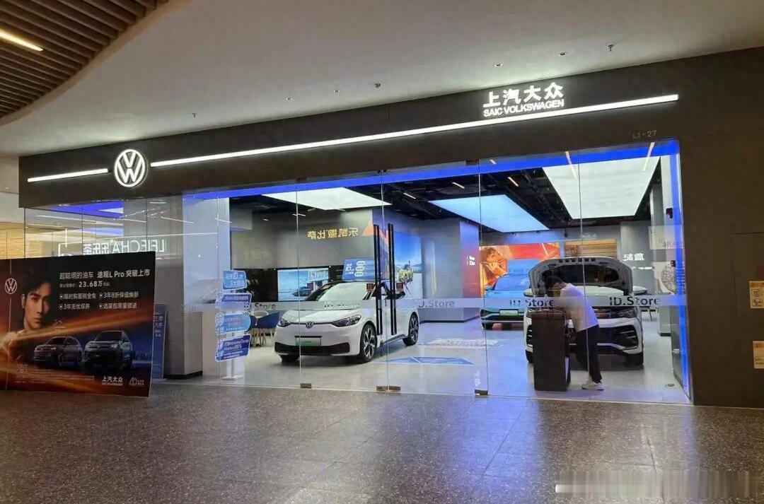 这个月的车市感觉要分裂了。以后车市不光有牛市、熊市，还有买个der市。一边是新能