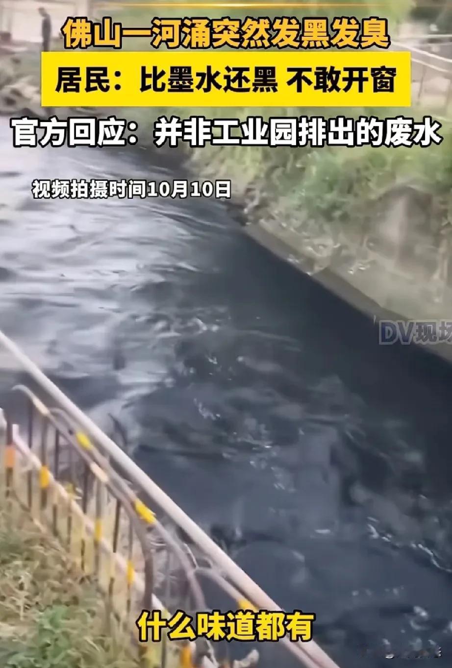 广东民生媒体报道，佛山乐平镇。三江水上村。十月十号附近居民反应，河里全是黑水，又