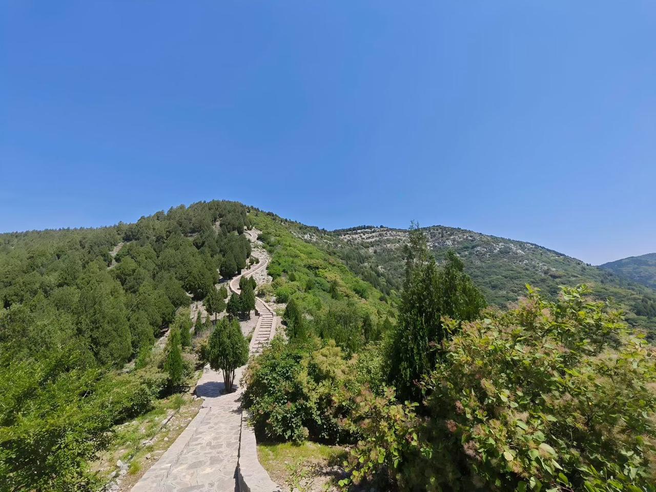 山