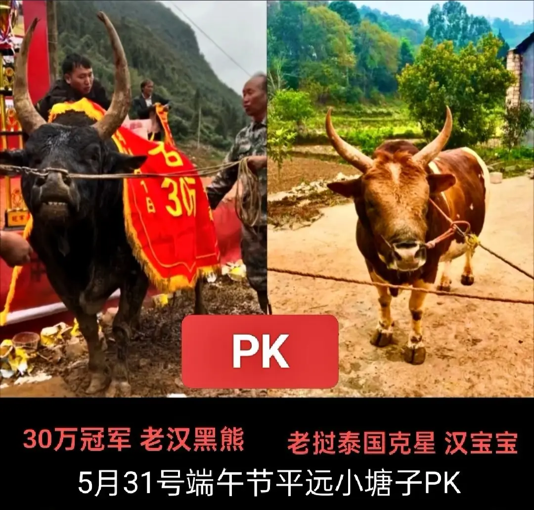 端午节这两架足够精彩