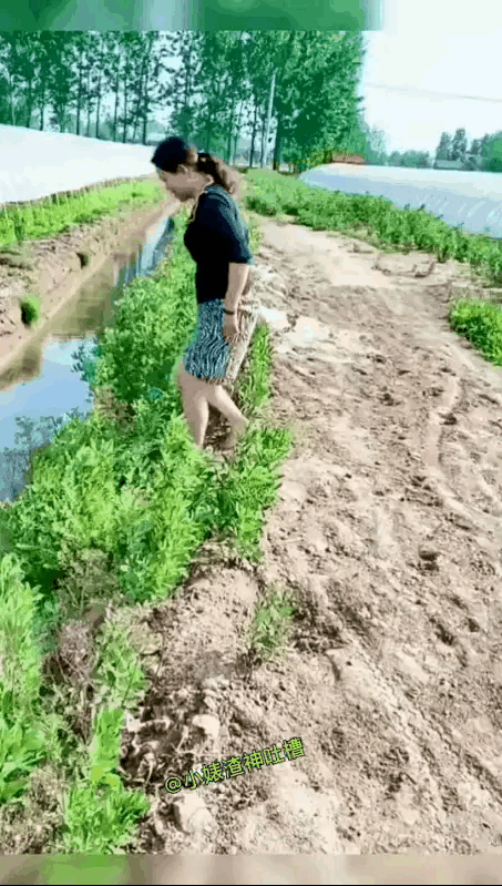 为啥非得从这儿过呢？搞不明白[机智]