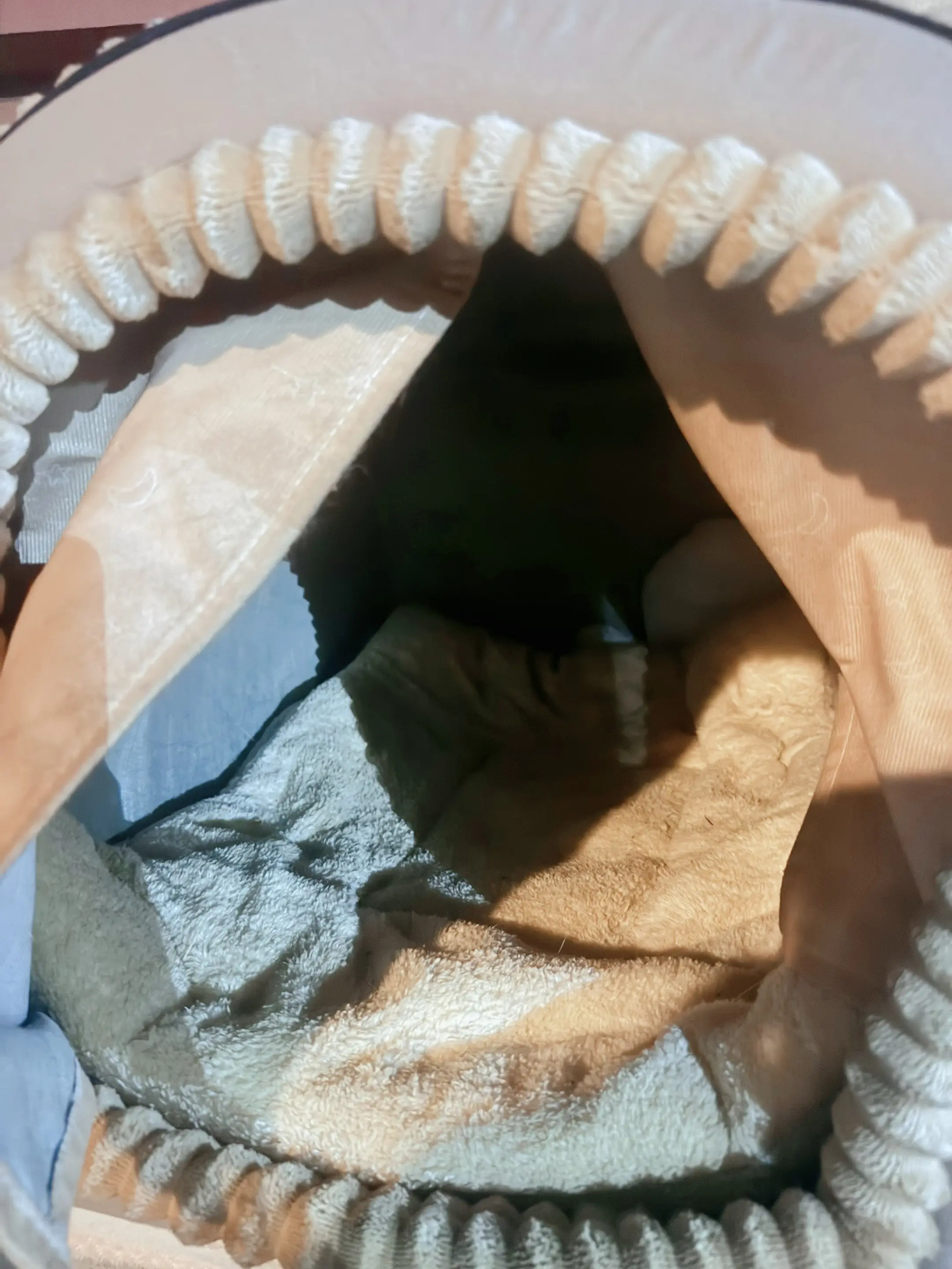 旅游一圈回来 发现养在花园里面的流浪狗不见了 难过 死了 找了通宵了 …