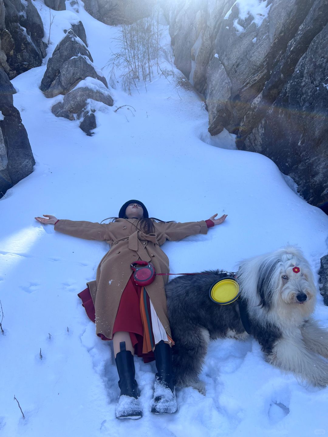 比照片更有意义的是live 图