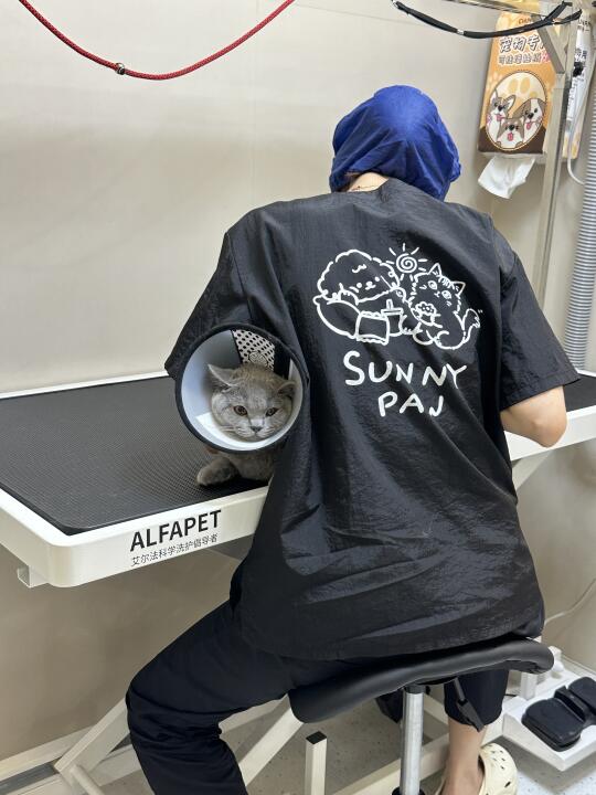 广州首家百万级宠物酒店！主子度假我放心！