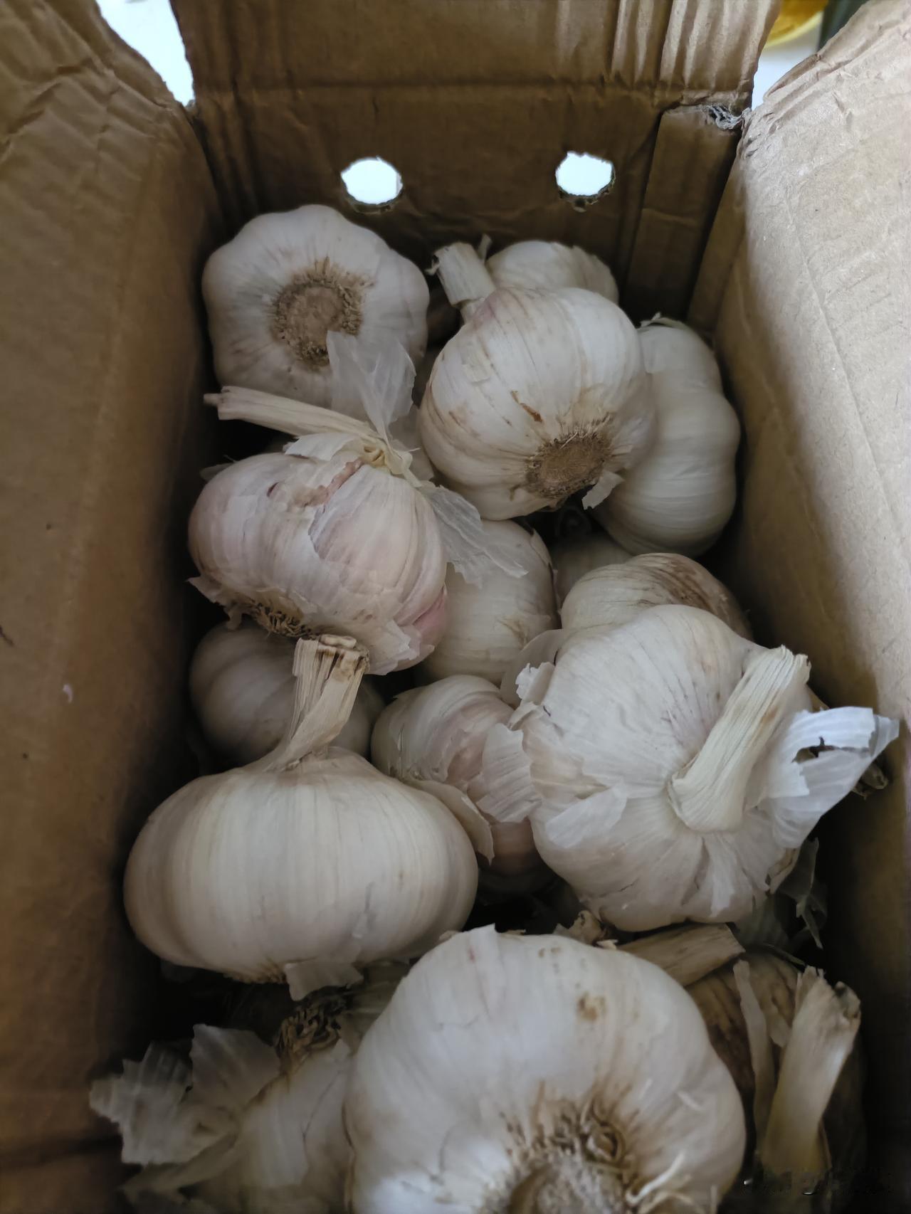在抖音直播间买了一份大蒜头，想着做糖蒜吃，于是在某书上找做法，结果一看，傻眼了。