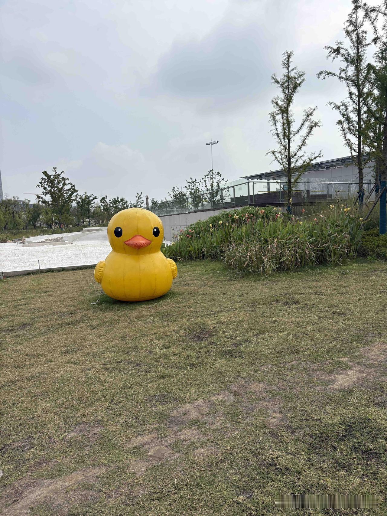 南大中央公园