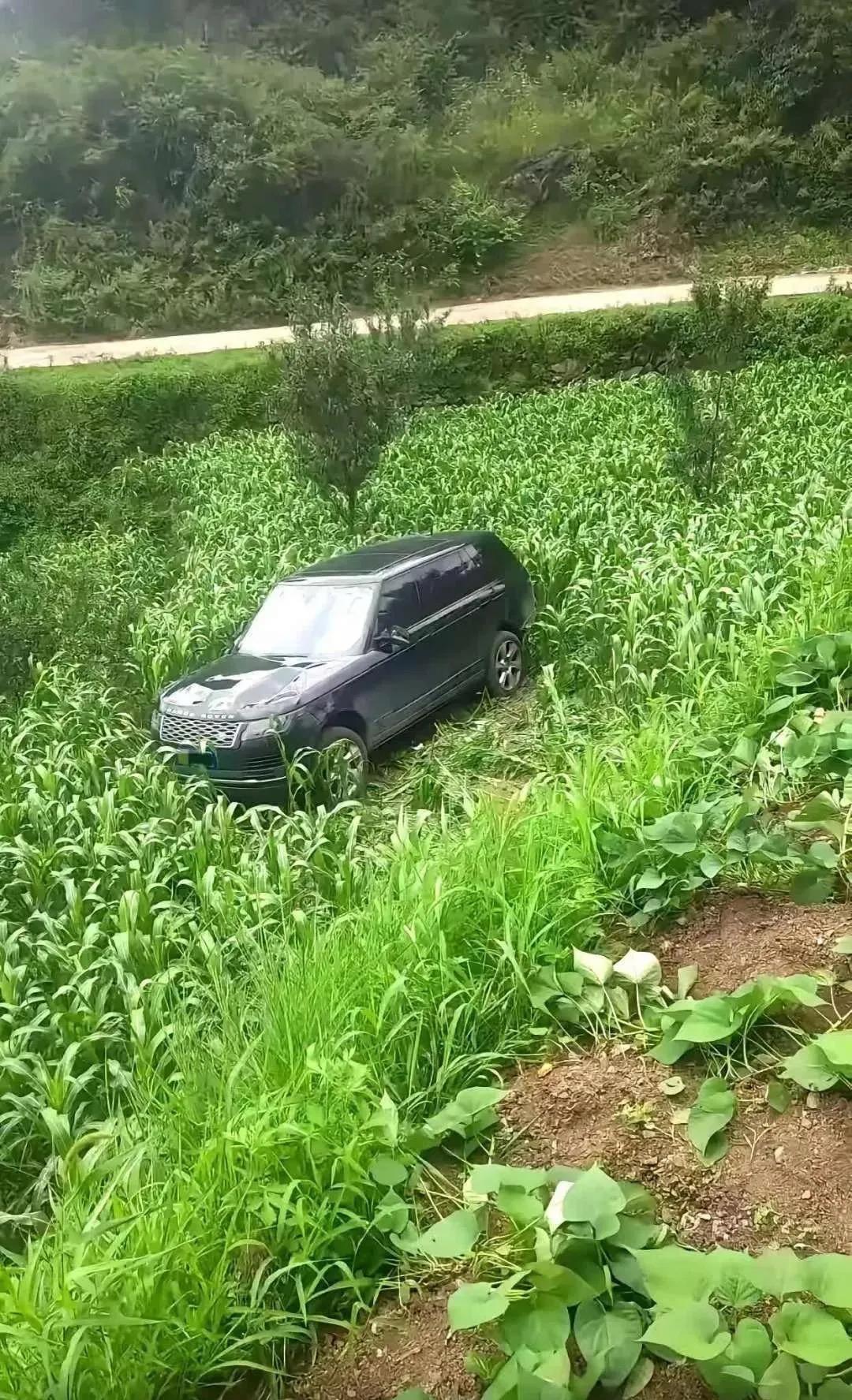 有点好奇，这车子停在田地里到底干嘛呢？