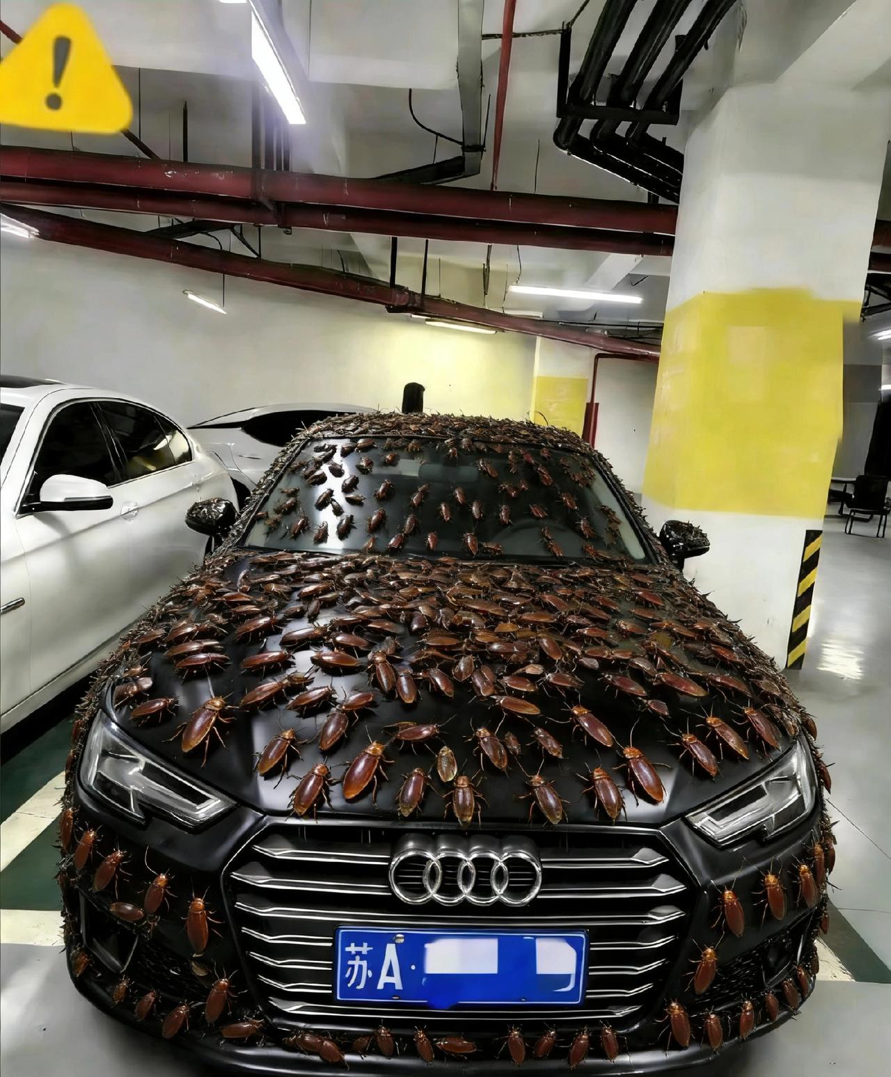 一分钱不要，也得让你长记性！业主车位被霸占10天，一怒之下做了这种事。他没有找拖