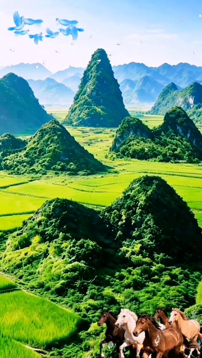 五马贵人山风景。
兄弟联芳。