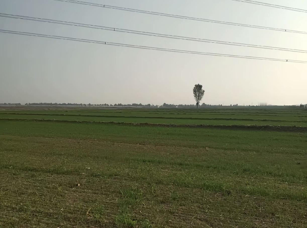 想不明白，为什么很多人不接受火葬，偏要土葬？
他们想过吗？那些患有重大疾病甚至有