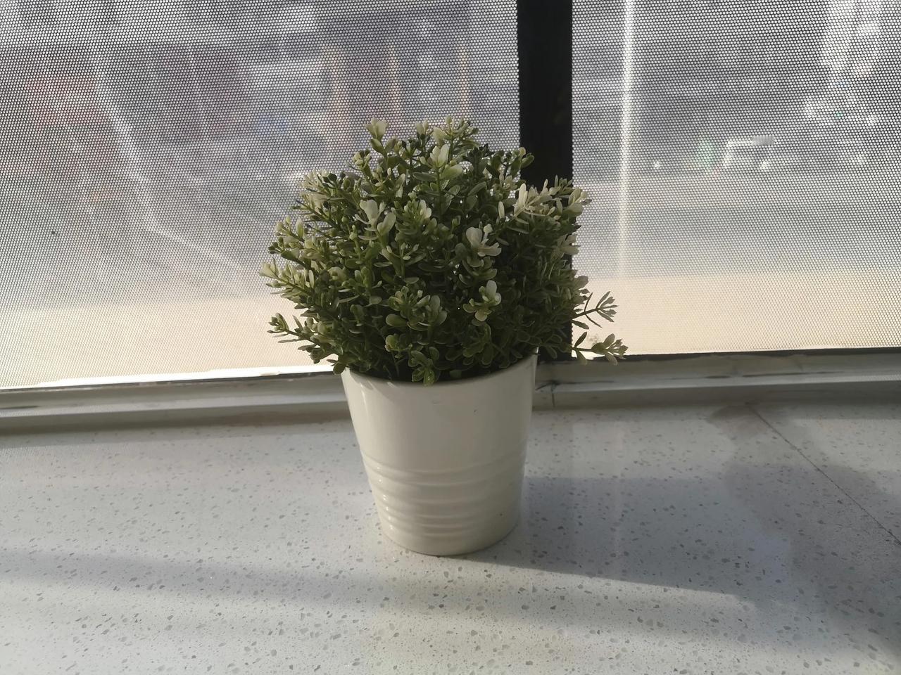 当然，每个小短文的右上角，都有一个“听”。有时快入睡了，我就打开这个“听”，让每