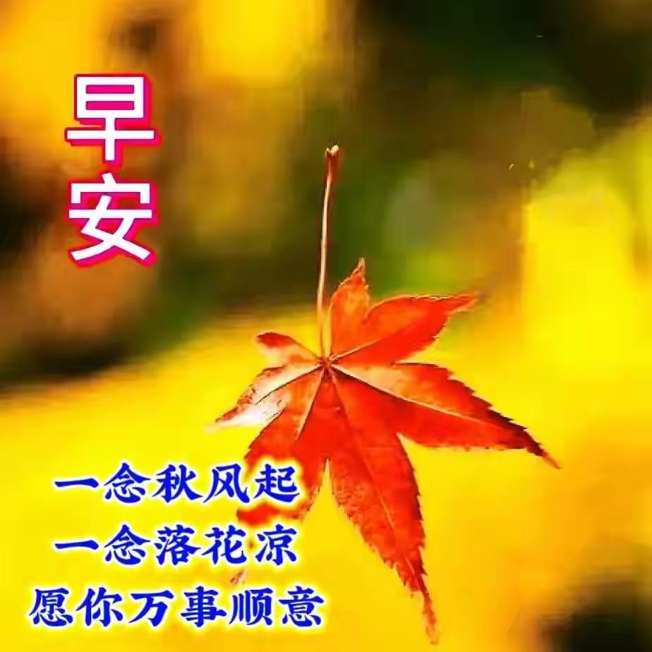 秋风起，落叶凉，秋意就这么悄然而至了。
这时候早晚温差大，可得多穿点衣服，别让凉