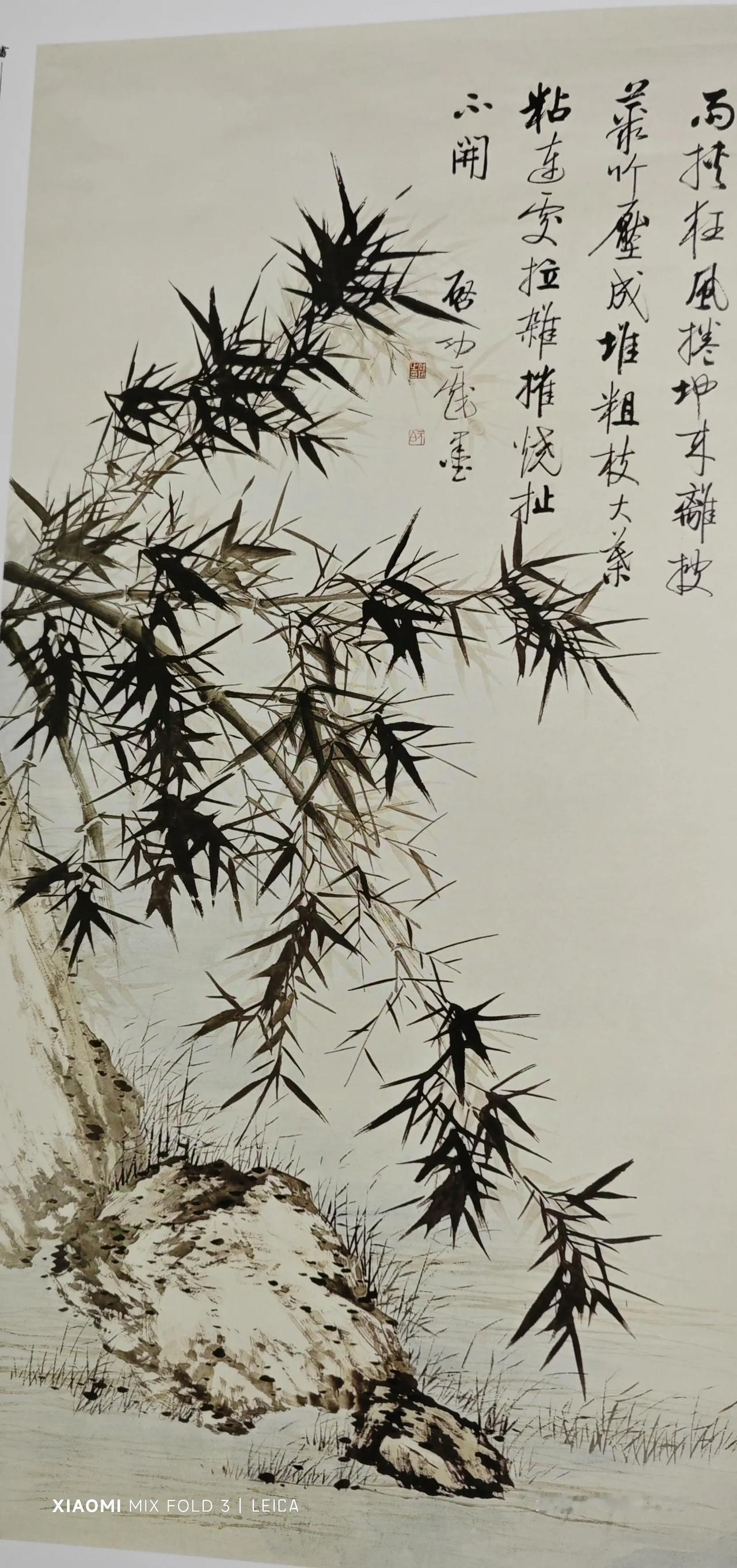 晨书，心宽，2024年10月23日