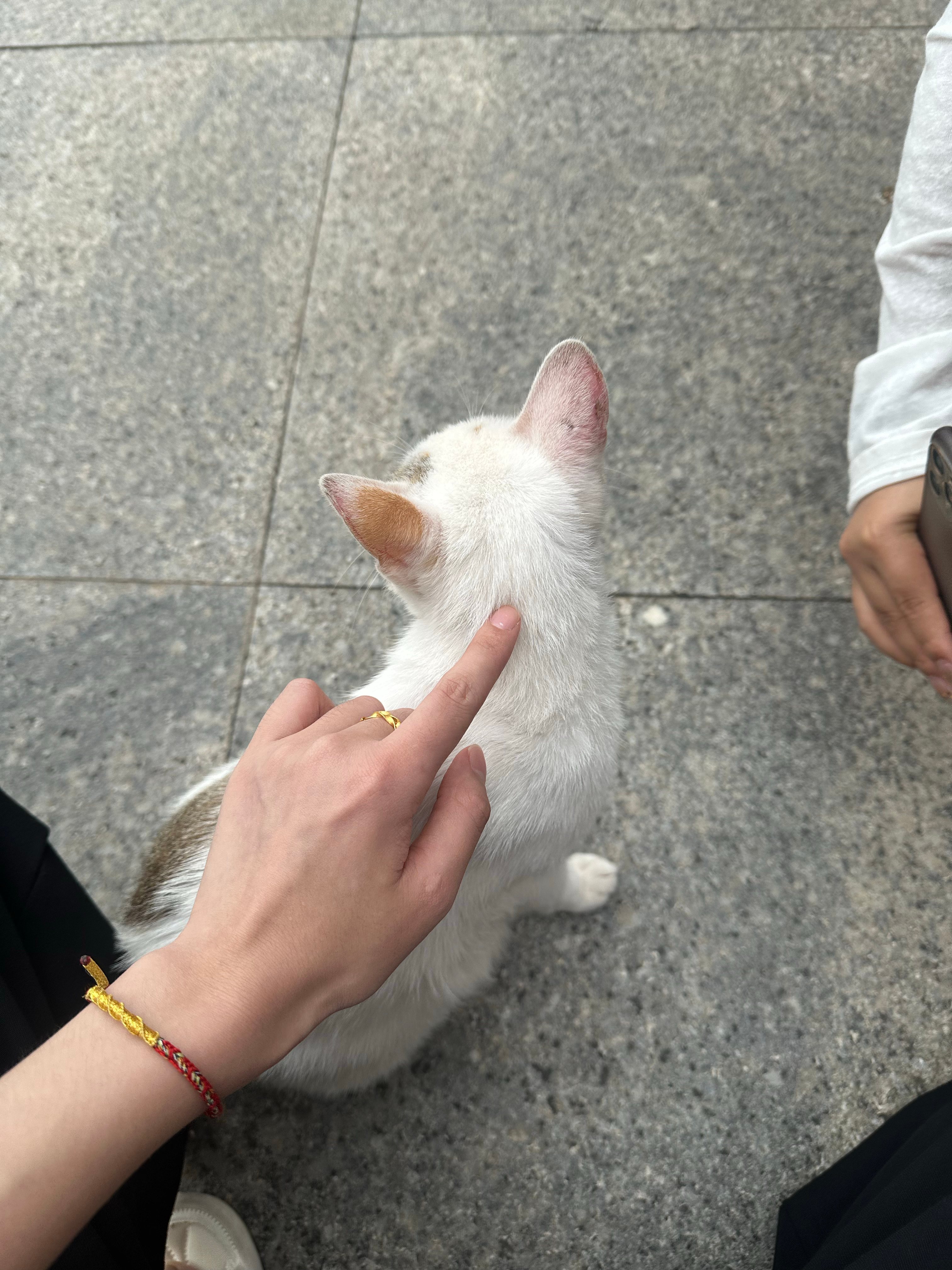 可爱 ​​​