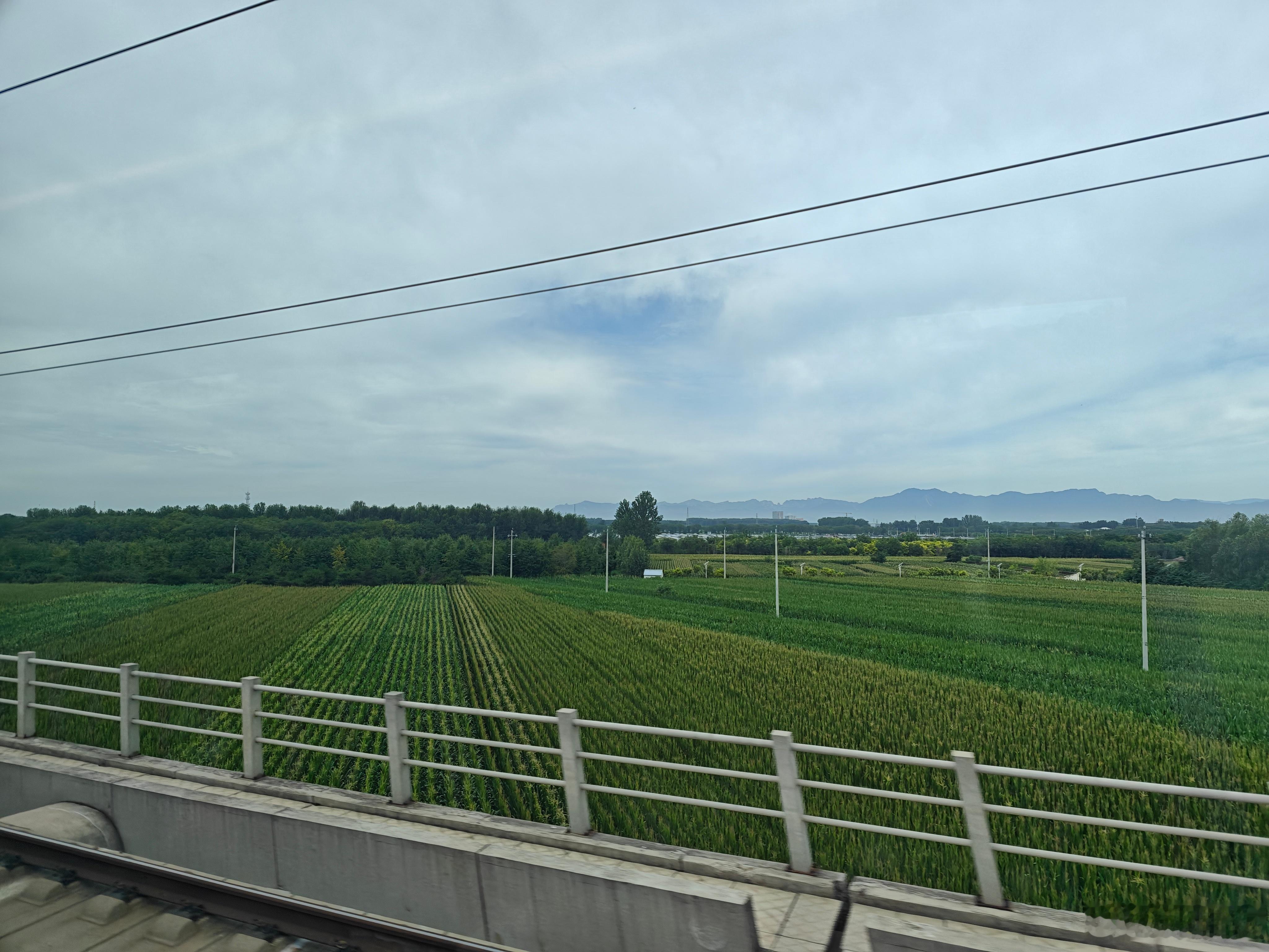 今日倒头条