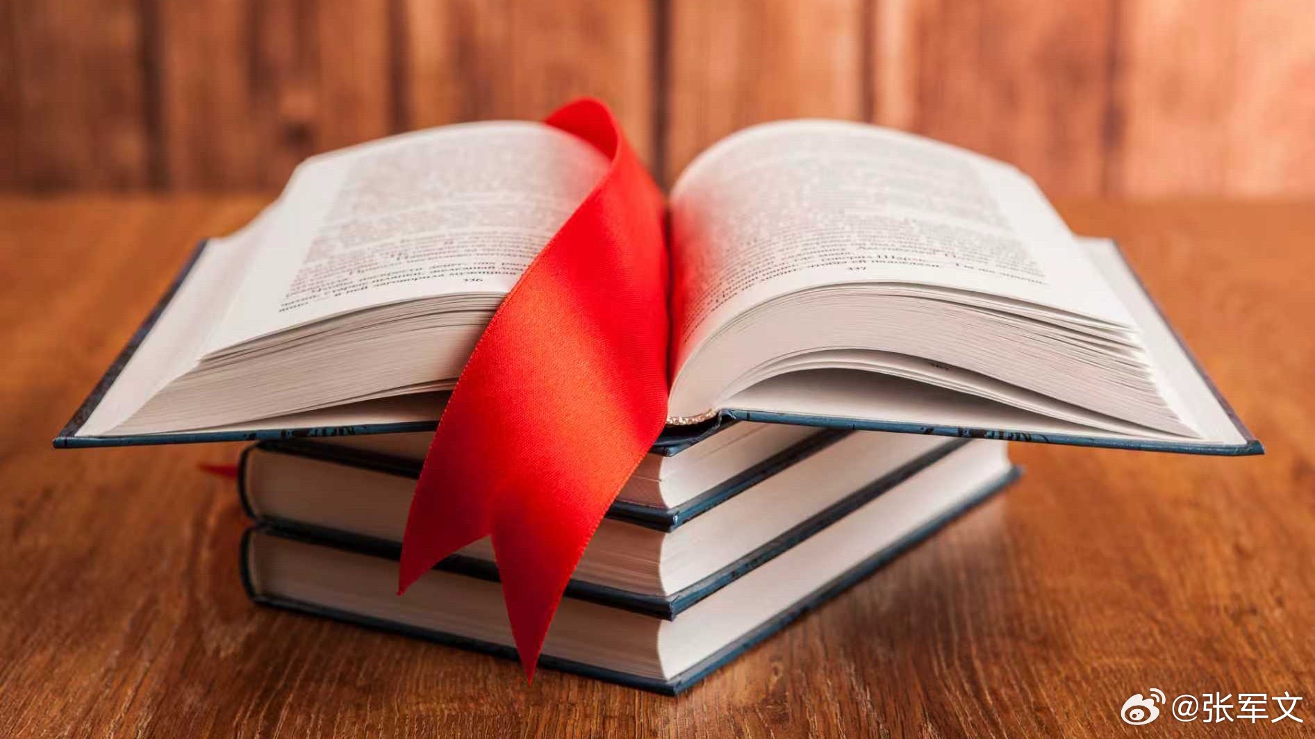 读书让人生变得辽阔我的私人宝藏书单书评  读完《你当像鸟飞往你的山》，塔拉·韦斯