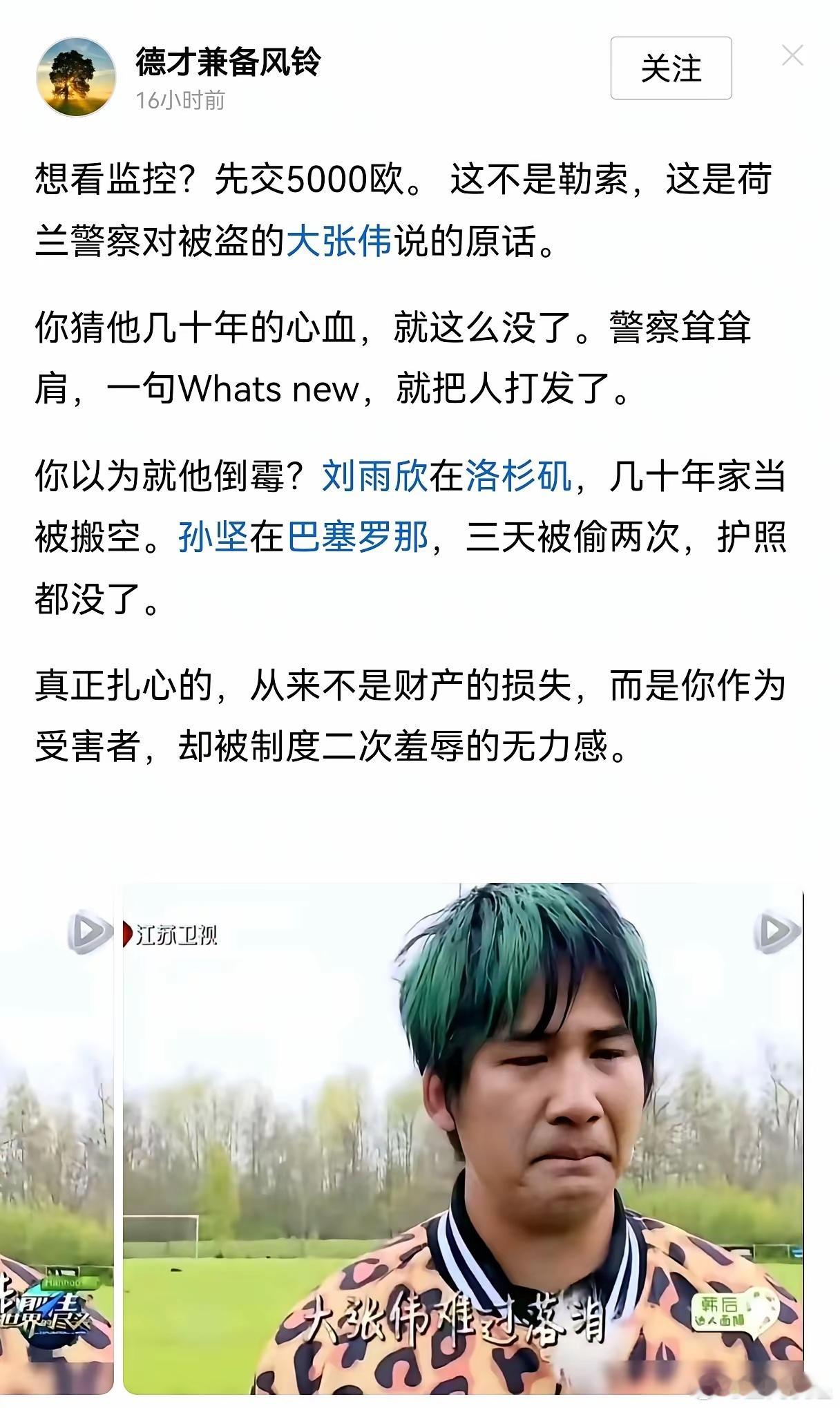 大张伟在荷兰的经历是真的，但5000欧元不是看监控收费，是调取第三方监控的合规流
