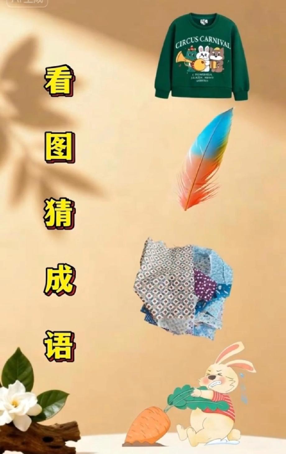 衣服+羽毛+布料+兔子拔萝卜，这是什么成语？90%的人第一反应都错了！