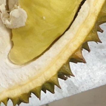榴莲大降价有果商1天卖了9千斤五一广州榴莲市场彻底火爆，单日竟卖出近9000斤！