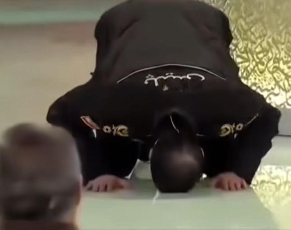 黑衣人弯腰，似在思索。