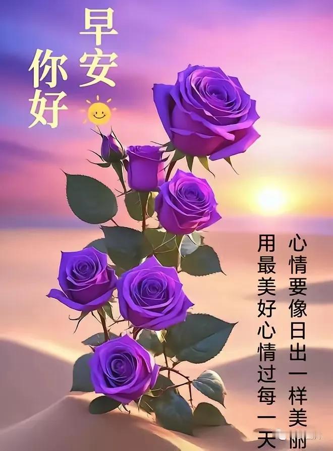 “早安，你好，心情要像日出一样美丽！”🌹🌅