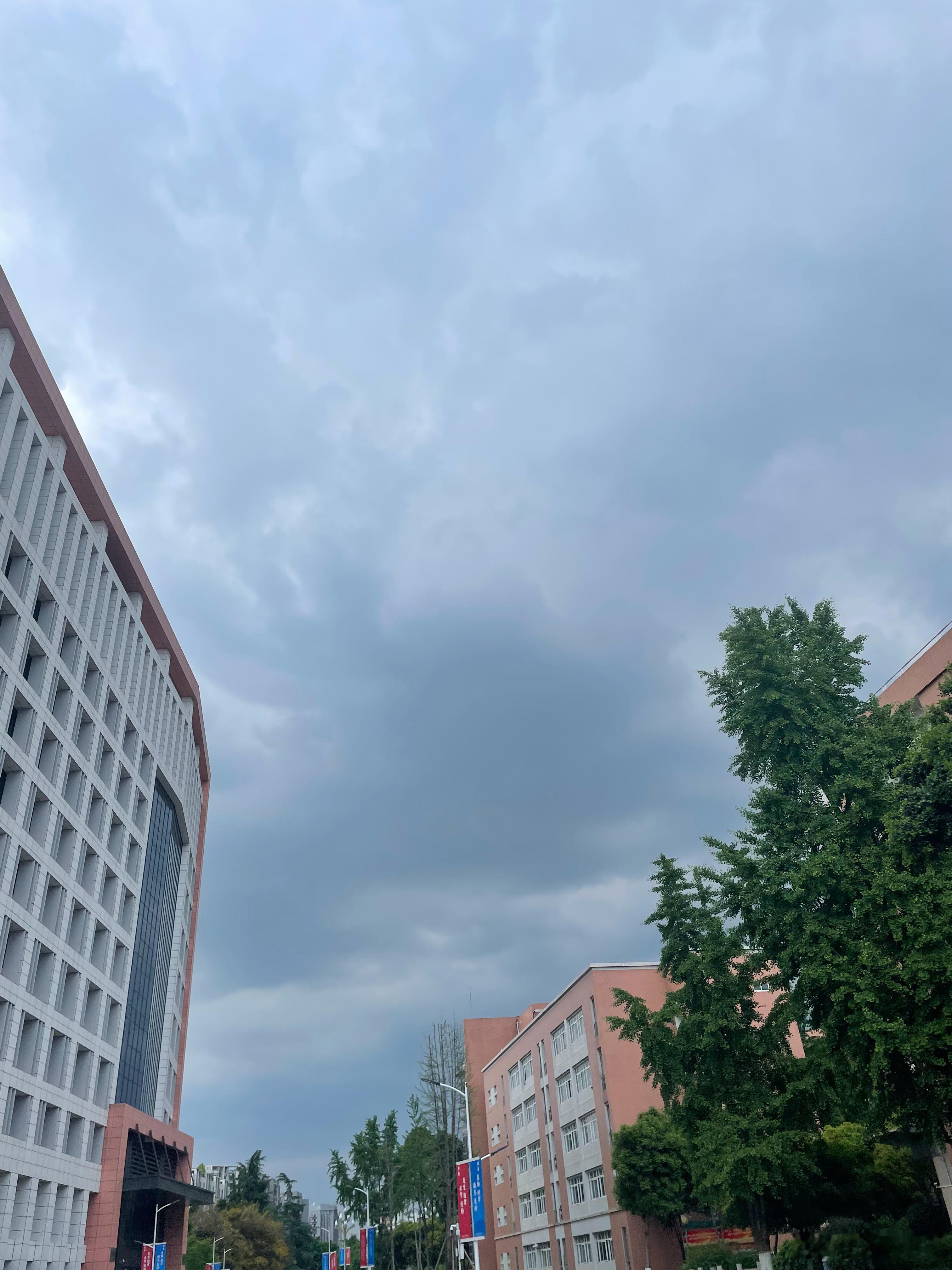 这个天，暴雨预警~☔️你那儿天气还好吧？​​​
