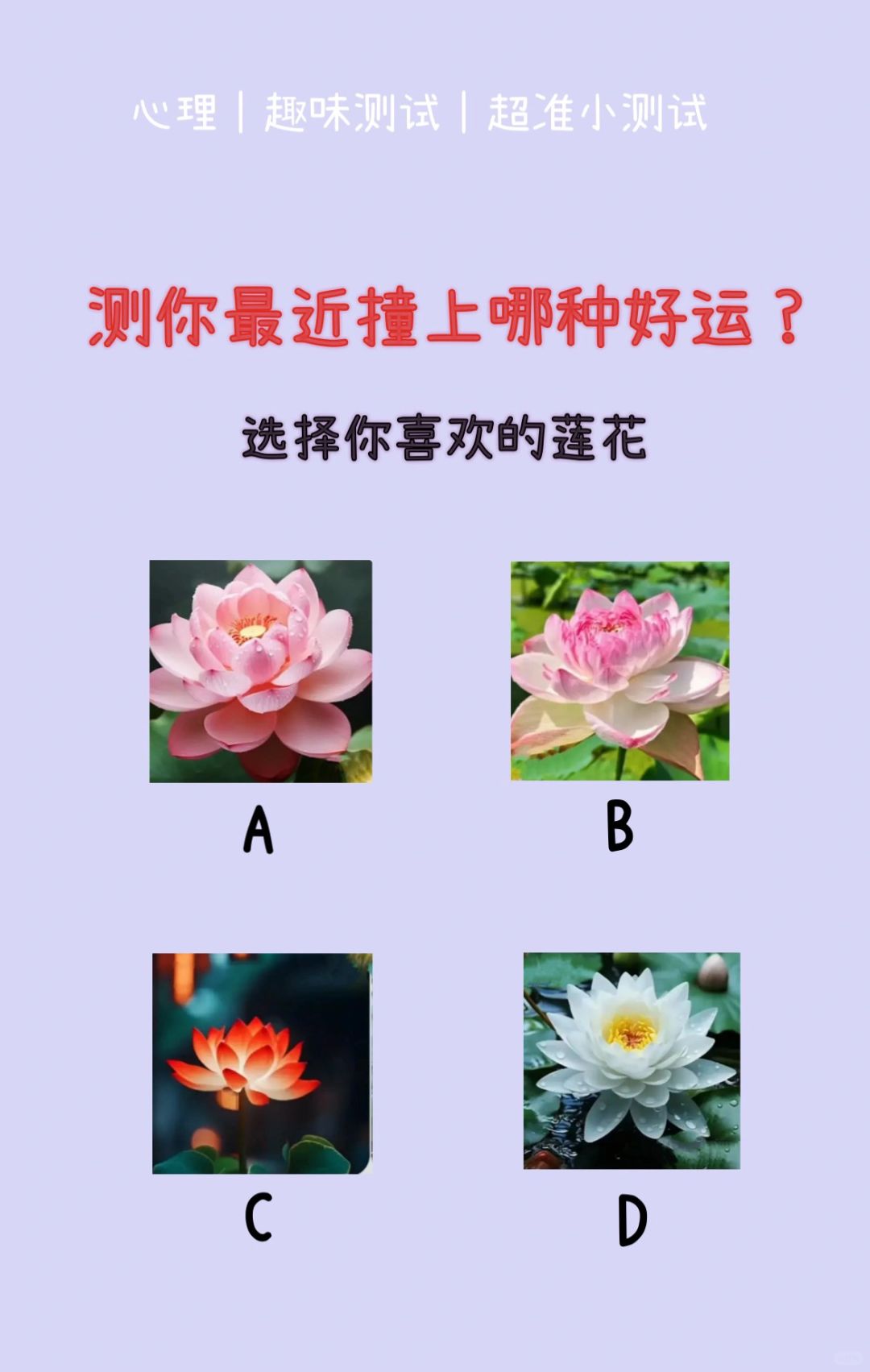 🔥测试｜测你最近撞上哪种好运？