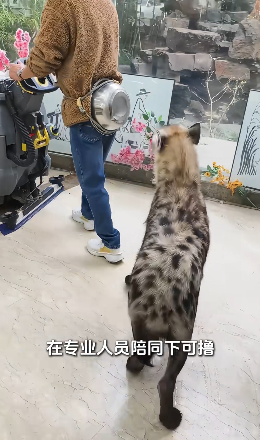 哈哈哈 