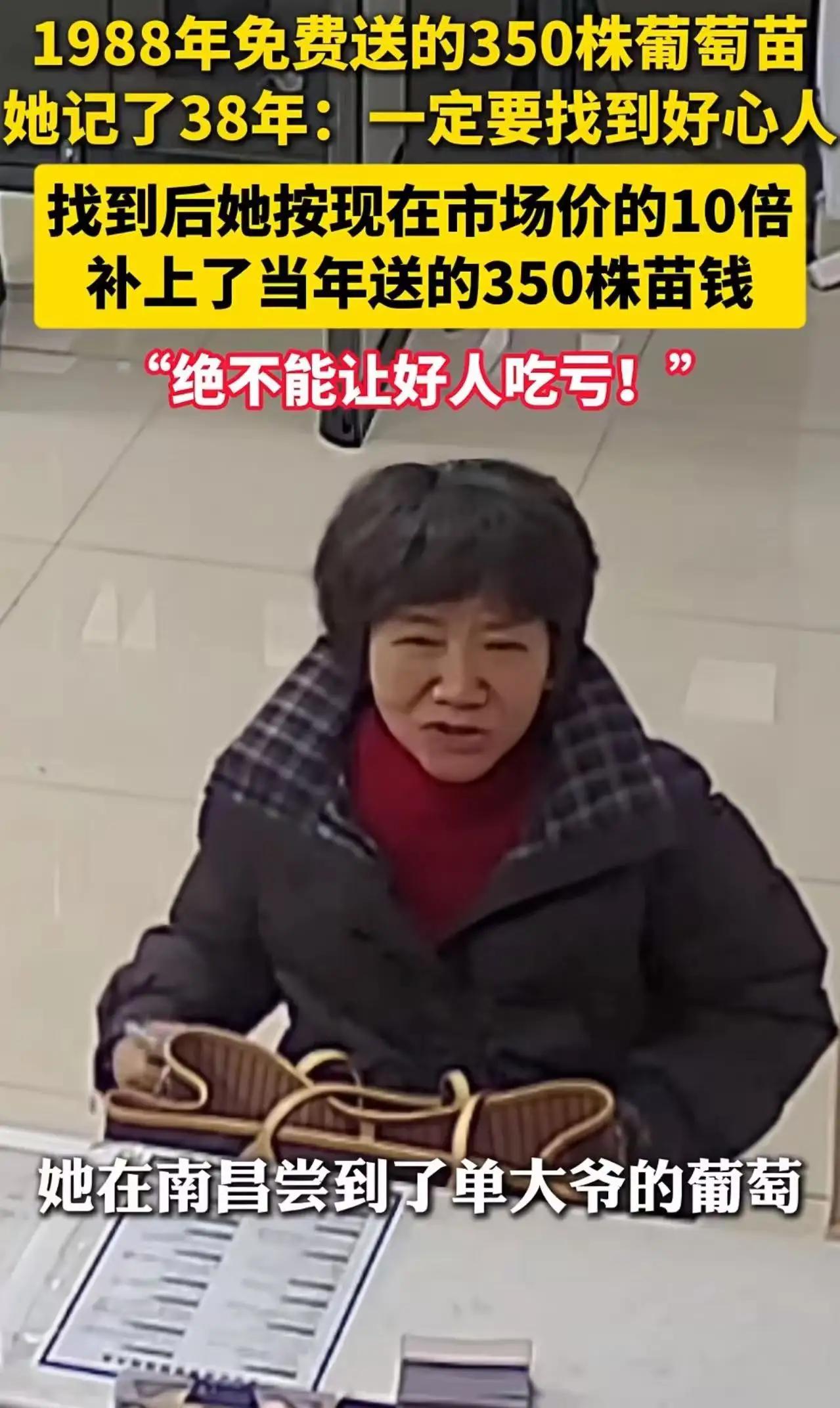 38年的“甜蜜”债：一株葡萄苗，种出感恩的春天

今儿咱们说说一桩发生在岁月长河