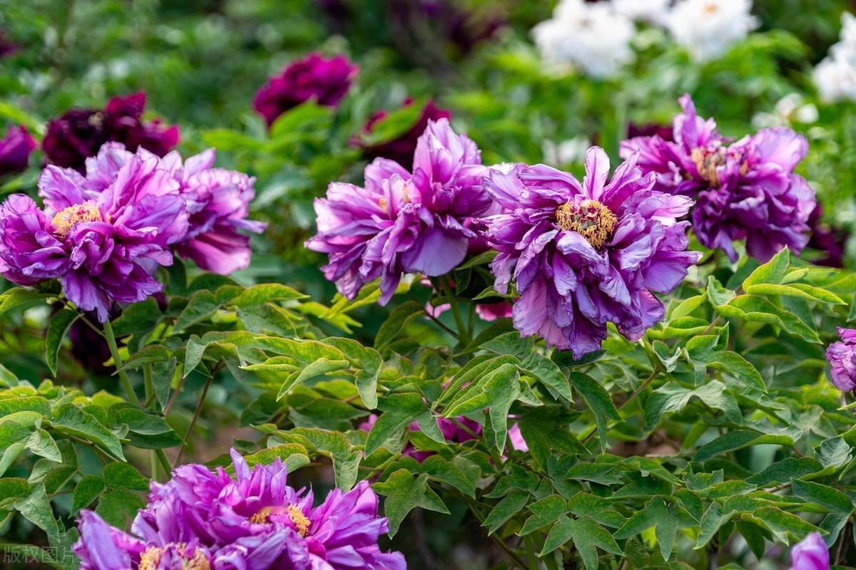 每当想到前方有未知的惊喜等待着我，我就充满了前行的动力，每一天都充满了期待与希望