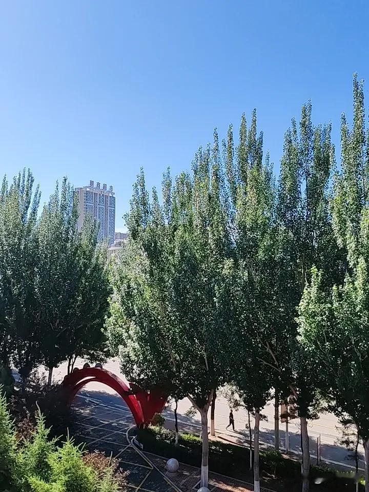只是个人见解，
不管领不领证，
只要是有吸引力有眼缘的搭在一起，
就是一个完整的