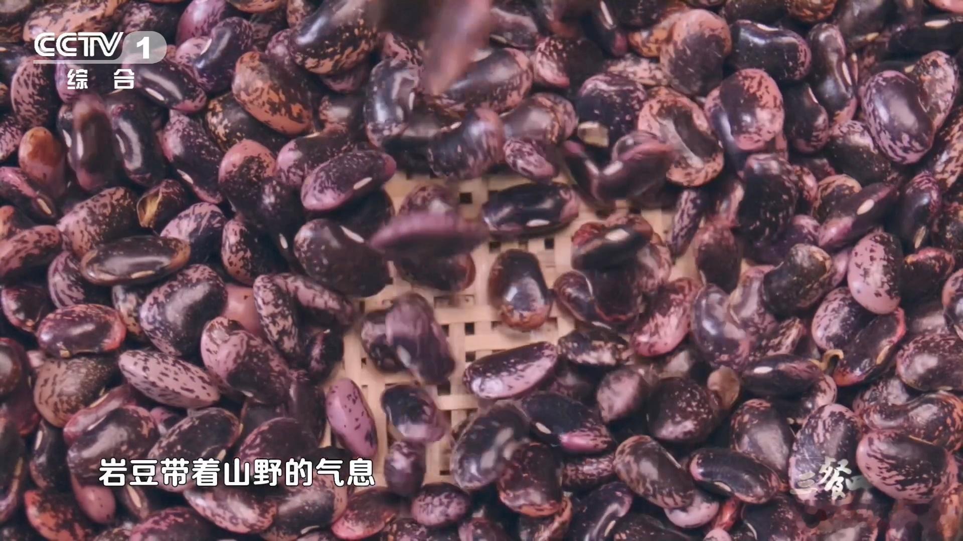 中国人的吃商绝了 岩豆硬如磐石又怎样？在中国人的手里，照样能从深山食材变成家常美