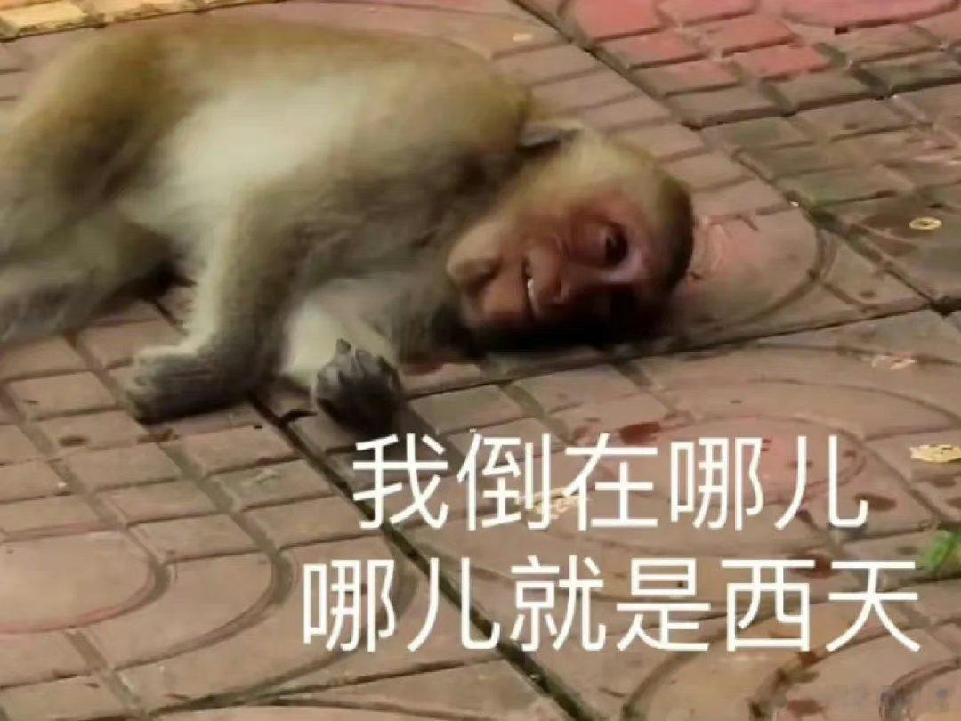 上次提名了最幸福和最惨女安[doge]。这次是女坏专场[舔屏]。通常做女坏比女安