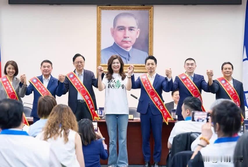 国民党主席郑丽文今（22日）在脸书发文表示，7月25日当天，除了公民团体、专家学