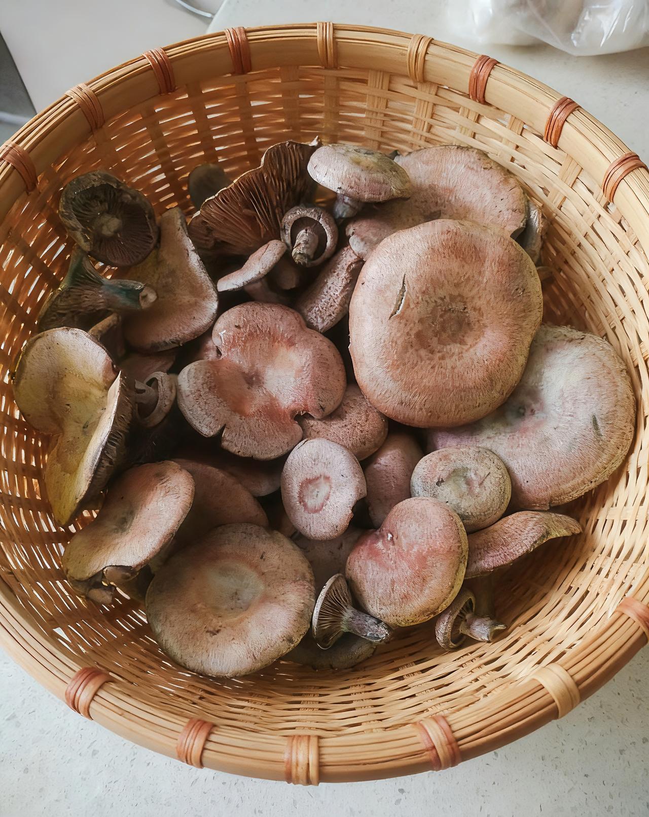 你们采过蘑菇没有？

小时候，我经常和村里的小伙伴一起上山采蘑菇，翻山越岭，不怕