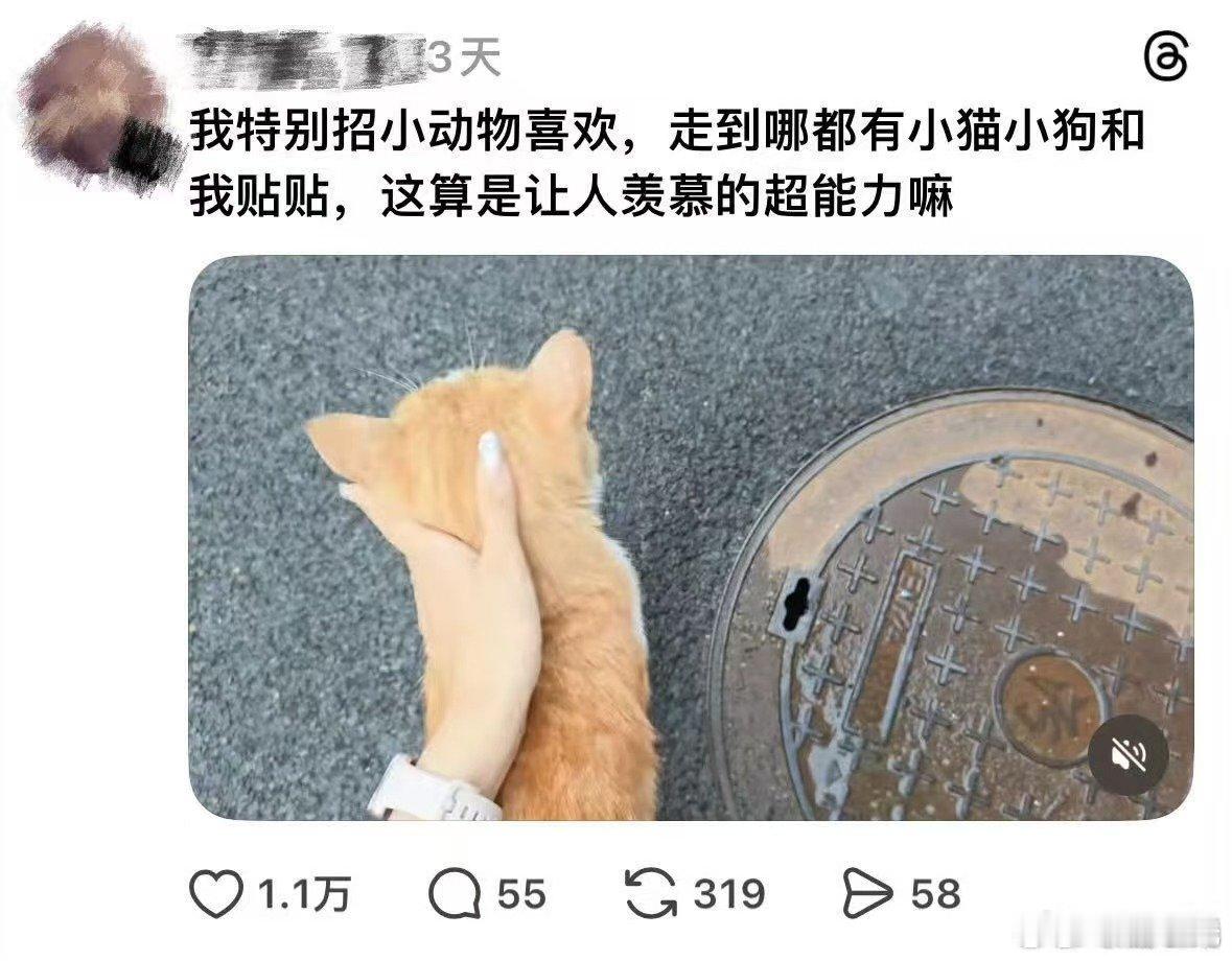 连动物都喜欢情绪稳定的 