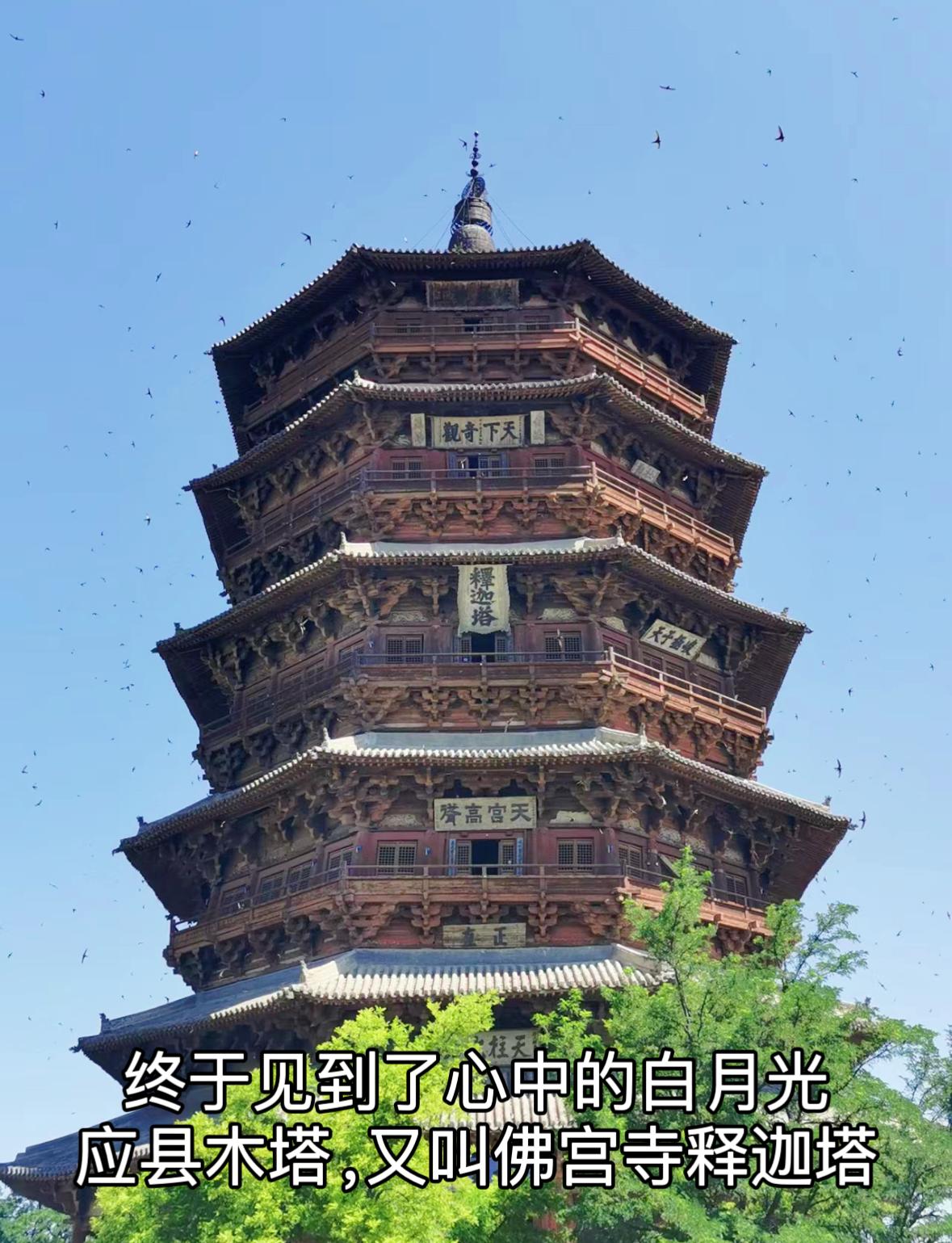 在这里，梁思成患上了“相思病”
