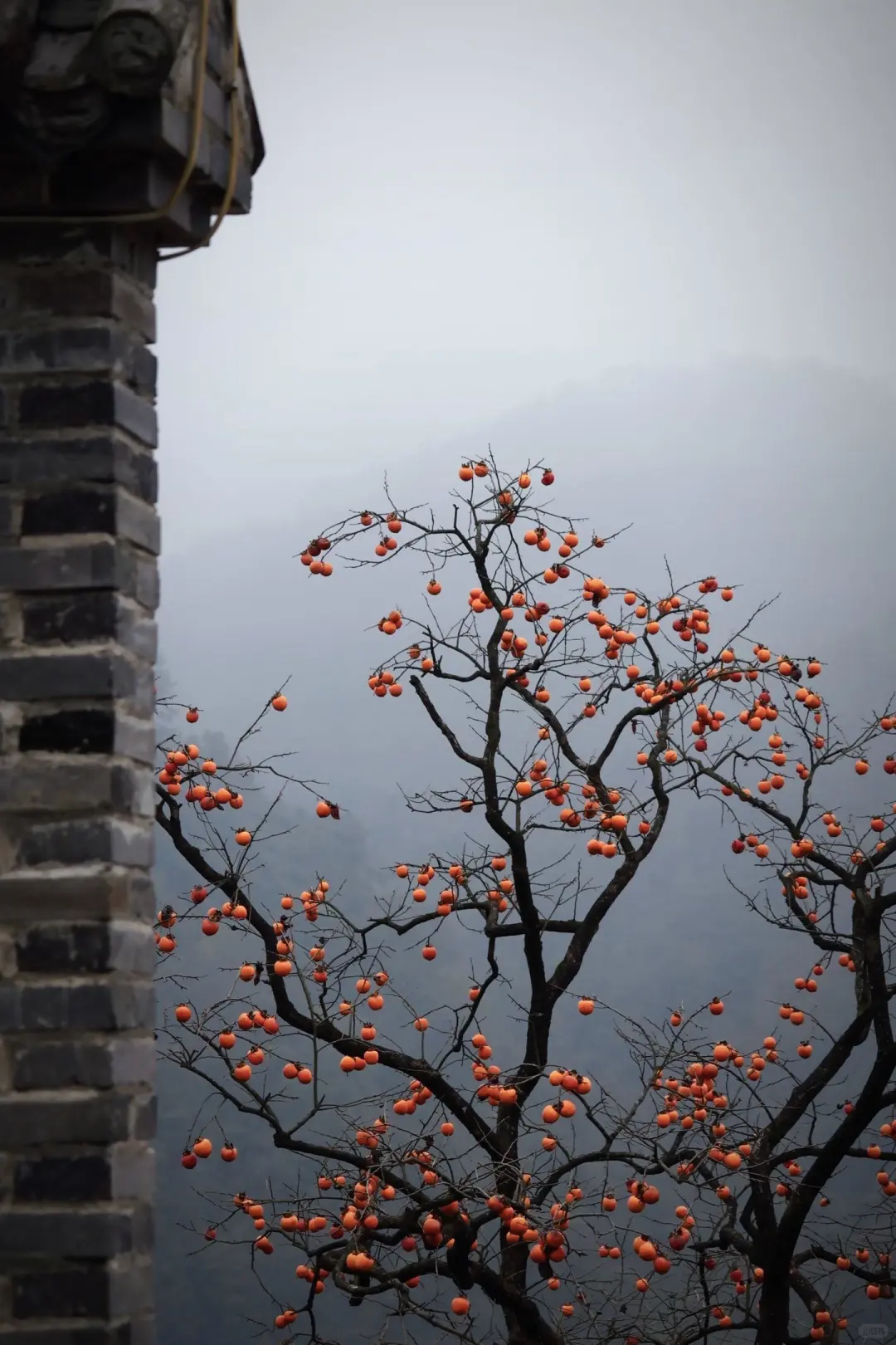 早读：人生四季皆风景，淡然平和心自安