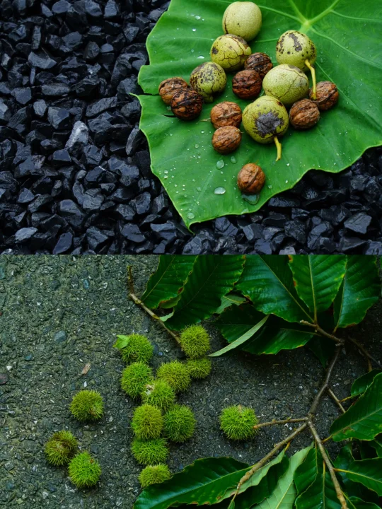 国庆躲人潮｜住进万亩竹海，泡私汤+赏彩林