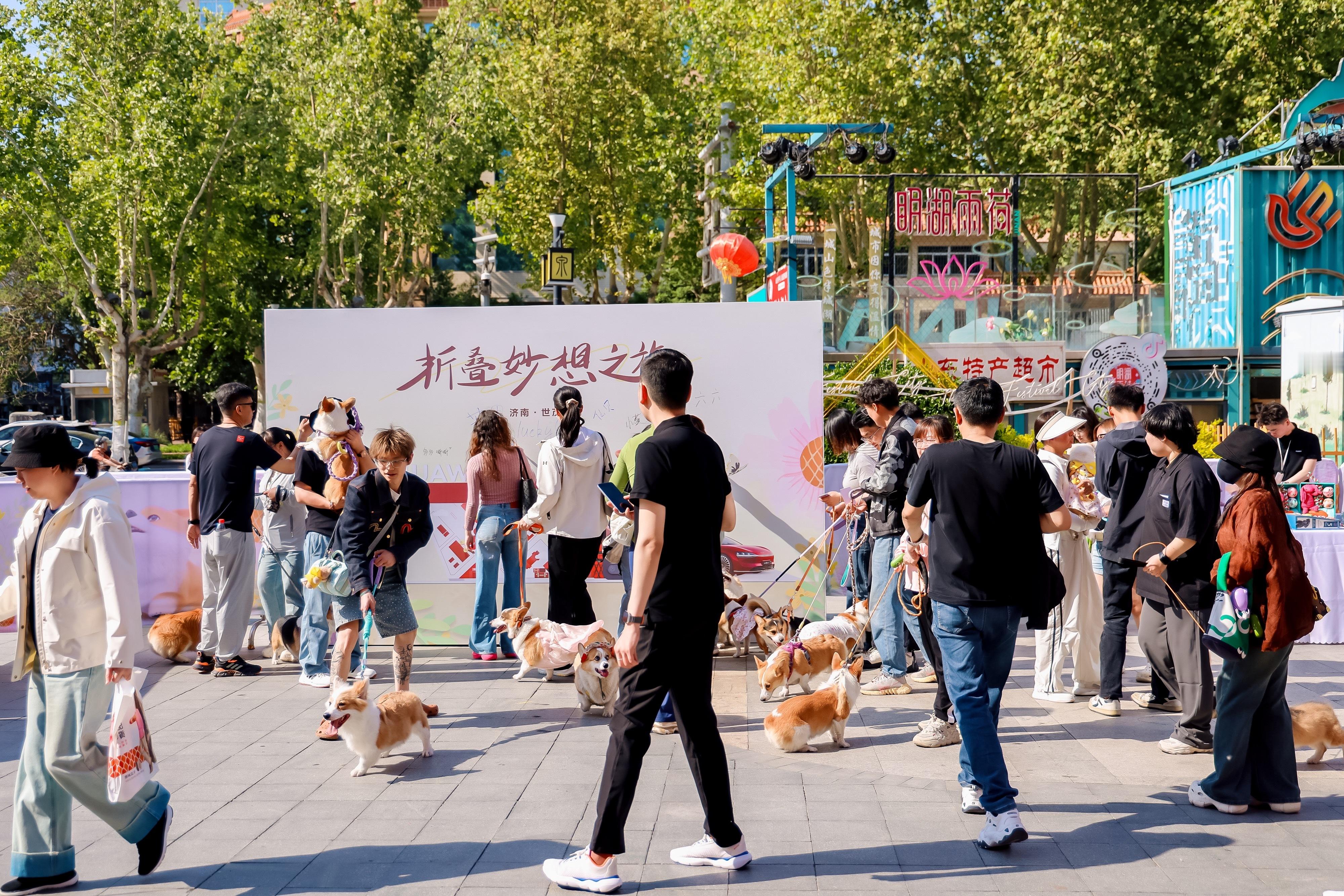 折叠屏的100种妙用 可爱的狗狗也可以玩一玩我们的华为折叠屏那是太有创意的想法了