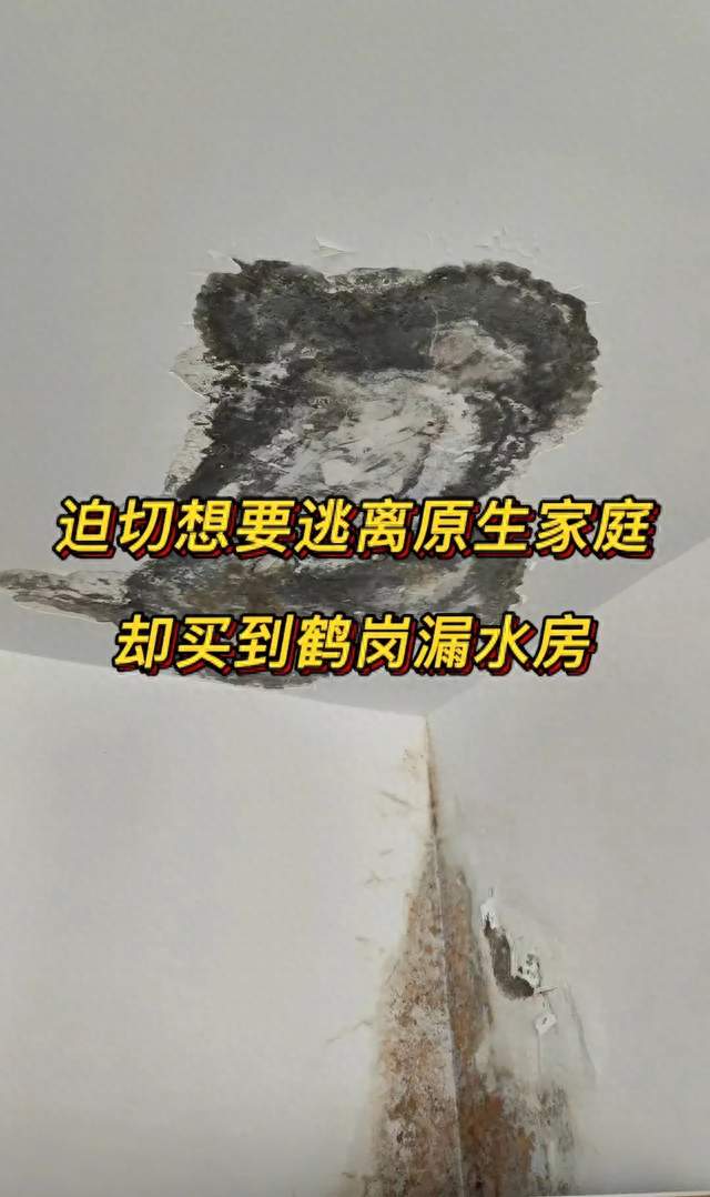 江苏姑娘3.8万网购鹤岗房，入住发现屋顶漏水