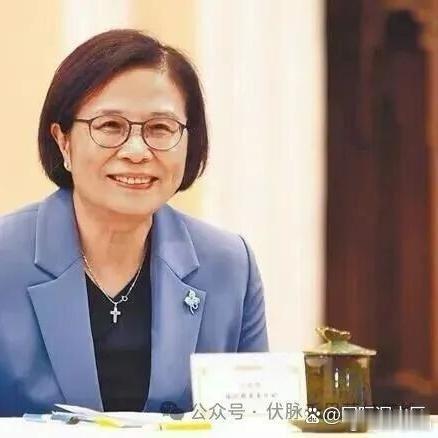 《APEC苏州会议，台当局出发前叫嚣掀桌子，到了大陆一个字不敢多说！可她下台后说