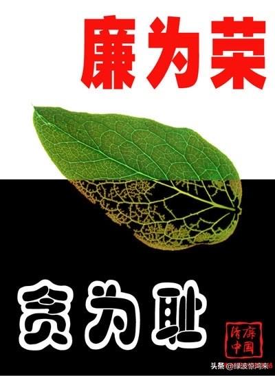 又一条大鱼落网了，通报一出，评论区一片叫好！

说实话，以前看过他的一些访谈，觉