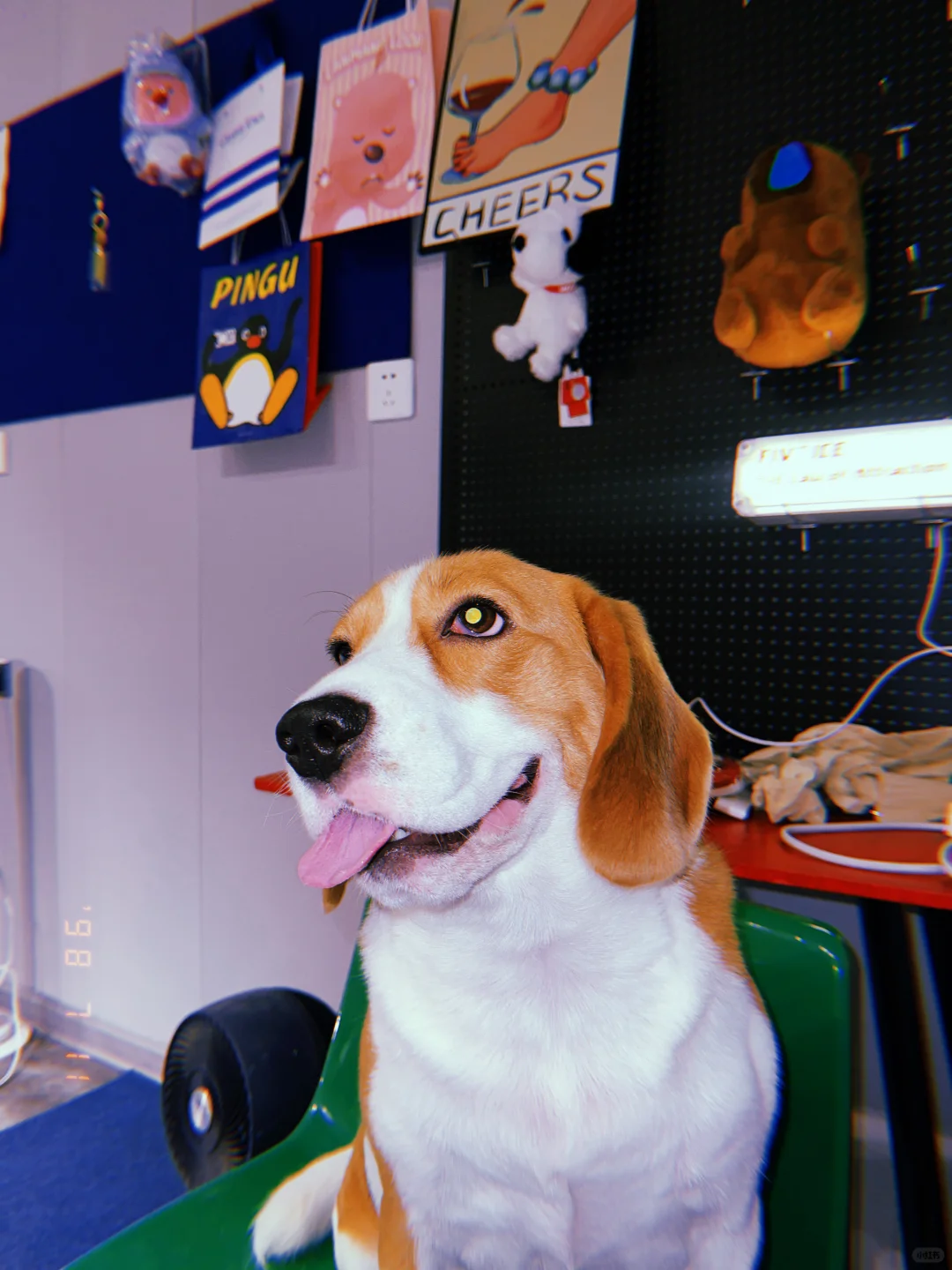 👅